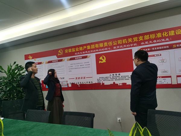 安徽必发7790地产集团机关第一党支部开展“佩党徽、诵誓词、赠党章、上党课”党员教育活动