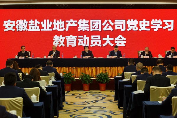 安徽必发7790地产集团公司召开党史学习教育发动大会